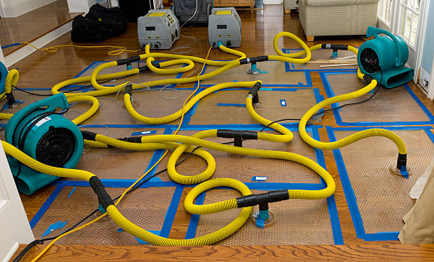 Professional Water Damage Restoration technician working in Avon, OH